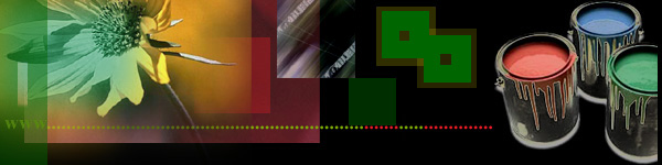 Web design web designer web services
